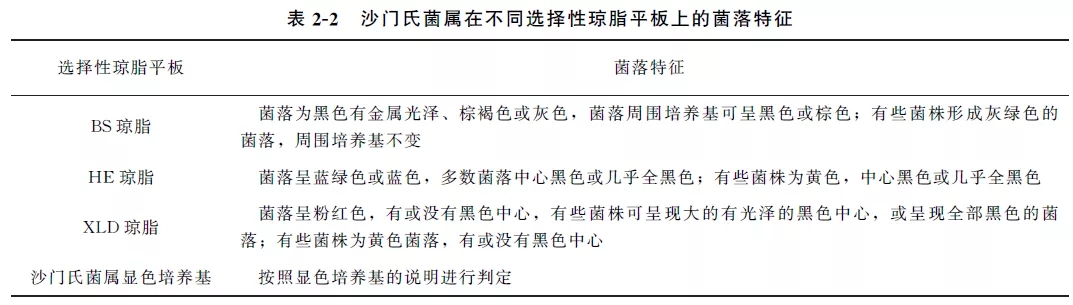 沙門(mén)氏菌屬在不同選擇性瓊脂平板上的菌落特征