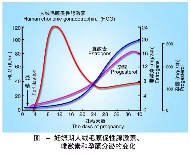 懷孕期間HCG低怎么辦？