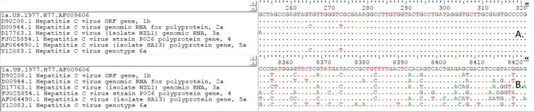 A.5’端非編碼區(qū)序列；B.NS5序列